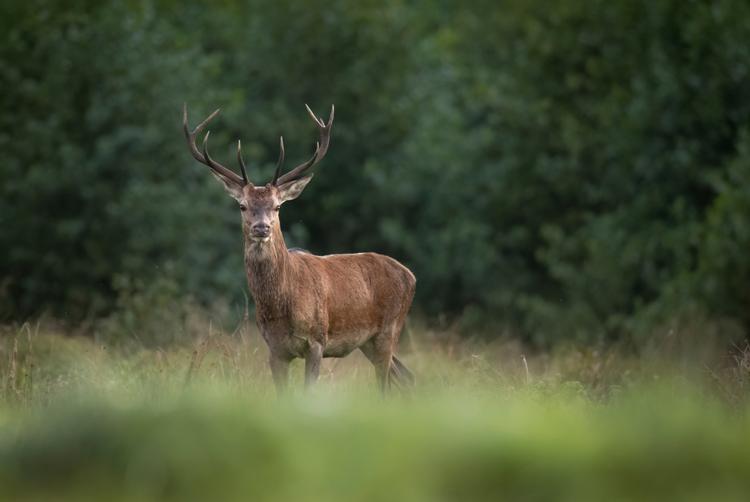 Restaurant Chateau Ctěnice | Praha | 2